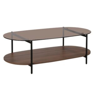 Wohnli Möbelsuche - Moderner ovaler Couchtisch L 120 cm aus braunem Glas