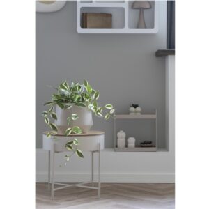wohnli-moebel-suche-M25206731-1 Beistelltisch aus beigefarbenem Stahl und Naturholz ø40 cm 40x40x40cm Metall Beige Moloo Möbel Wohnzimmermöbel Beistelltische