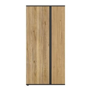 wohnli-moebel-suche-M26009791 Wohnli Möbelsuche - Schrank mit 2 Türen