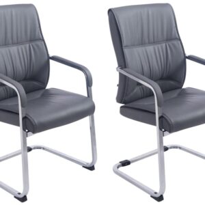 Wohnli Möbelsuche - 2er Set Freischwinger mit Metallgestell Sitz aus Kunstleder grau