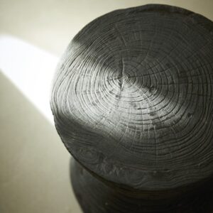 wohnli-moebel-suche-M26022778-1 Schwarzer Massiv-Teak-Sofatisch 30x40x30cm Holz Schwarz Tikamoon Möbel Wohnzimmermöbel Beistelltische