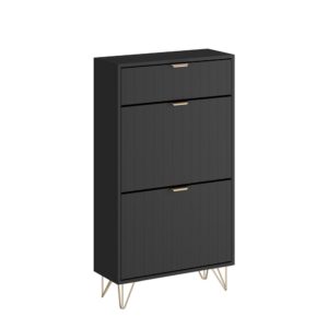wohnli-moebel-suche-M26066375 Wohnli Möbelsuche - Schuhschrank 2 Fächer Schwarz 60x107.5cm