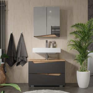 wohnli-moebel-suche-M26075938-1 Spiegelschrank mit höhenverstellbarem Einlegeboden Anthrazit 60x67 60x67x20cm Spanplatte Schwarz Vicco Möbel Badezimmermöbel Badezimmerschränke