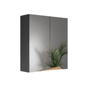 wohnli-moebel-suche-M26075938 Wohnli Möbelsuche - Spiegelschrank mit höhenverstellbarem Einlegeboden Anthrazit 60x67