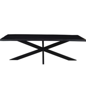 wohnli-moebel-suche-M26128106 Wohnli Möbelsuche - Esstisch Kala aus Mangoholz 220*100cm
