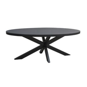 wohnli-moebel-suche-M26184355 Wohnli Möbelsuche - Esstisch Kala Oval aus Mangoholz 240*100cm