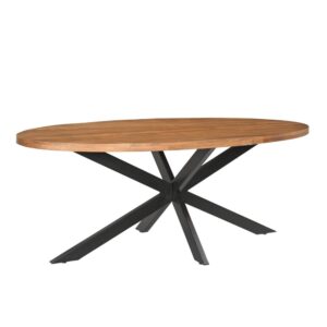 Wohnli Möbelsuche - Esstisch Rocky Oval aus Mangoholz 240cm