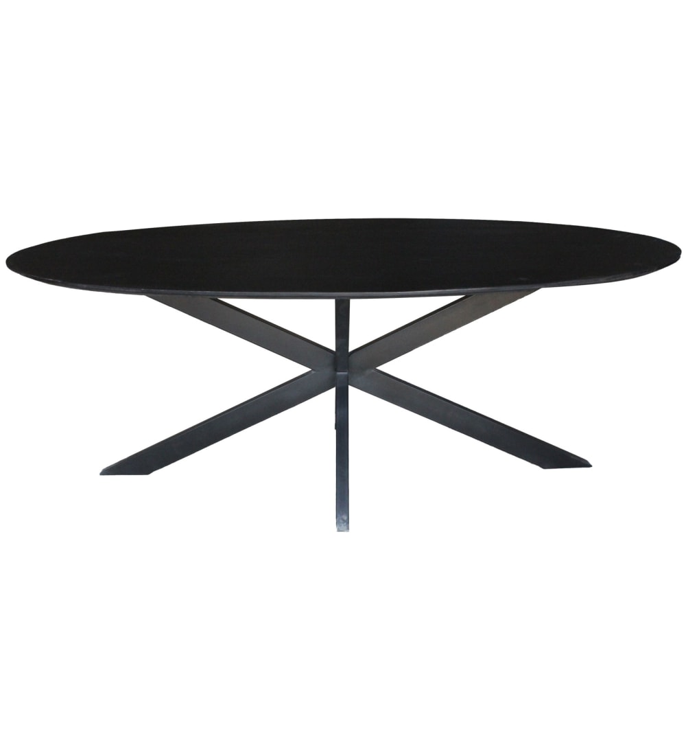 Wohnli Möbelsuche - Ovaler Esstisch für 6/8 Personen L160