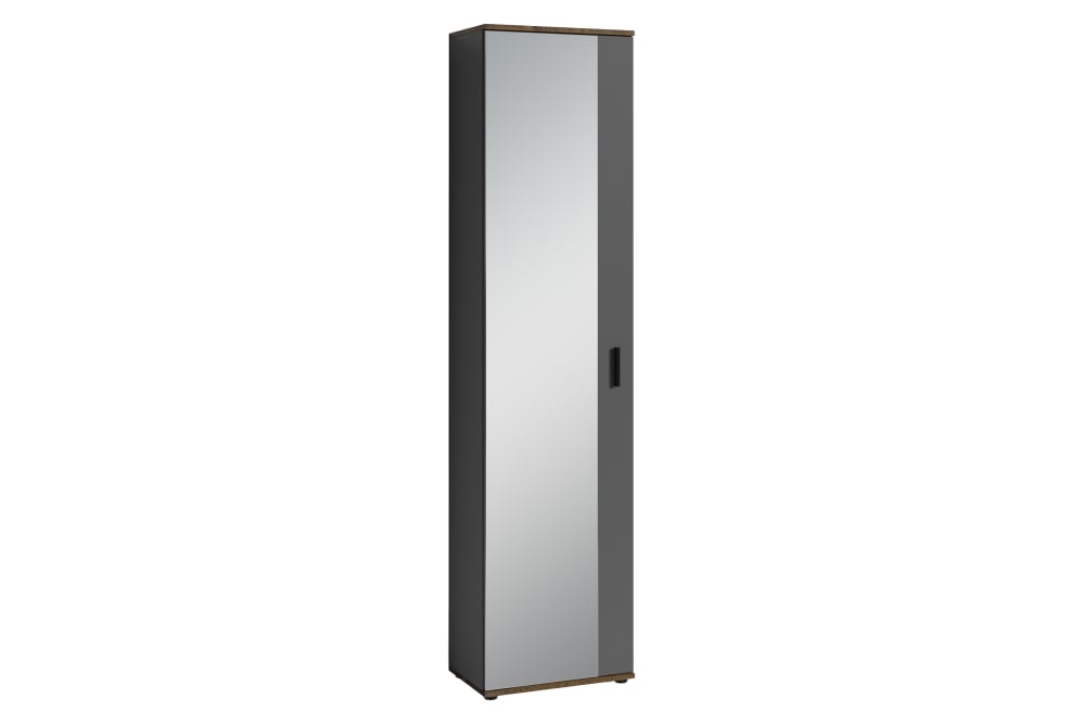 wohnli-moebel-suche-Spiegelschrank-mit-5-Faechern-B-49-H-196-T-30-cm-anthrazit Wohnli Möbelsuche - Spiegelschrank mit 5 Fächern